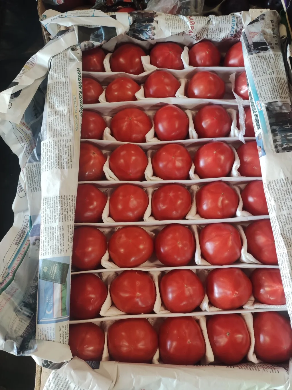 помидоры и огурцы с доставкой в Санкт-Петербурге