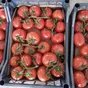 оптовая поставка томатов  в Санкт-Петербурге 5