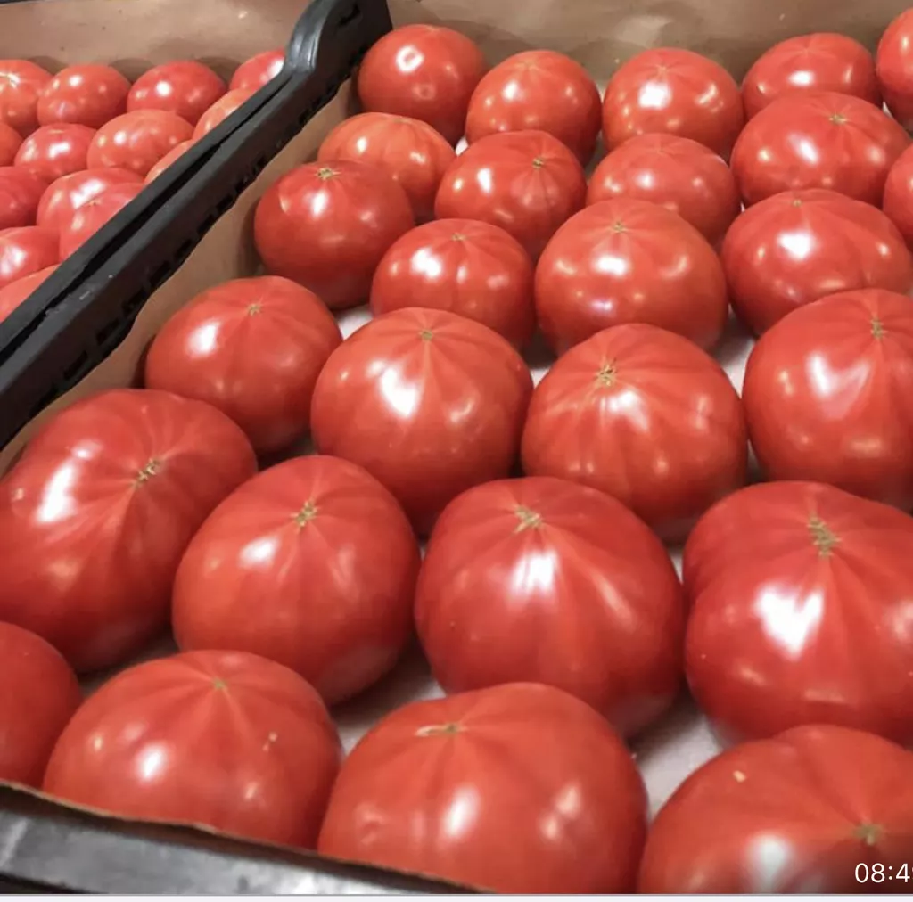 оптовая поставка томатов  в Санкт-Петербурге 2