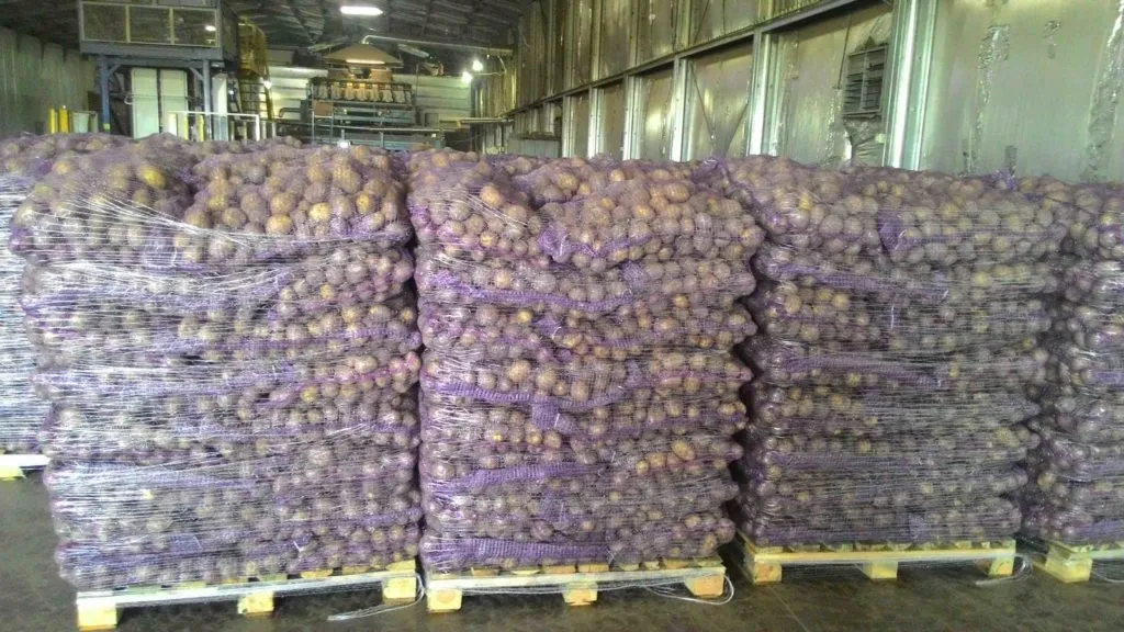 фотография продукта Картофель оптом, урожай 2019г