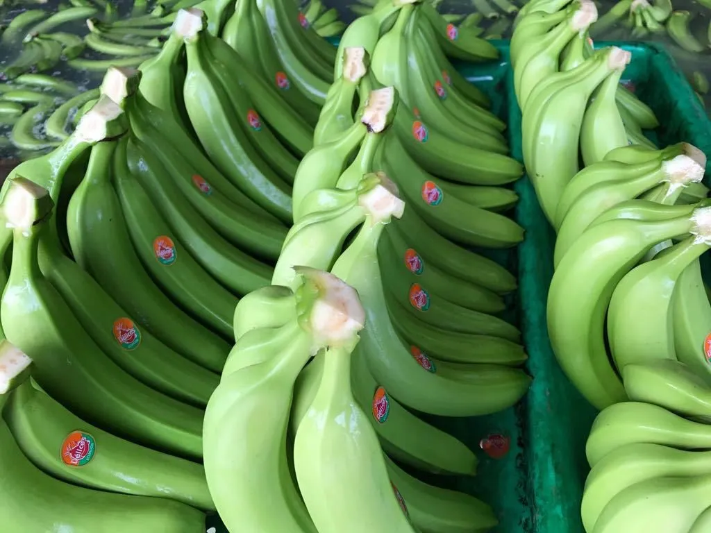 банан Эквадор в Санкт-Петербурге