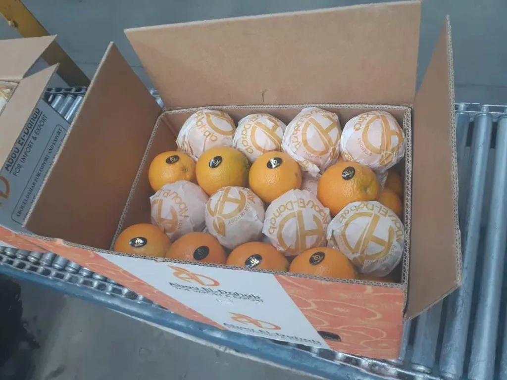 апельсины Египет  в Санкт-Петербурге