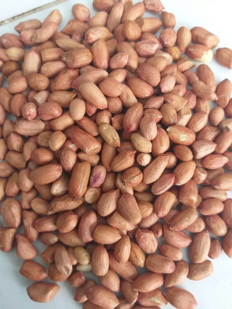 арахис сырой Калибр 50/60 (Индия) в Колпине