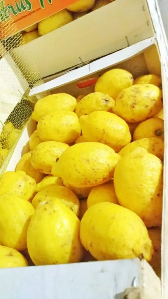 лимон в Санкт-Петербурге
