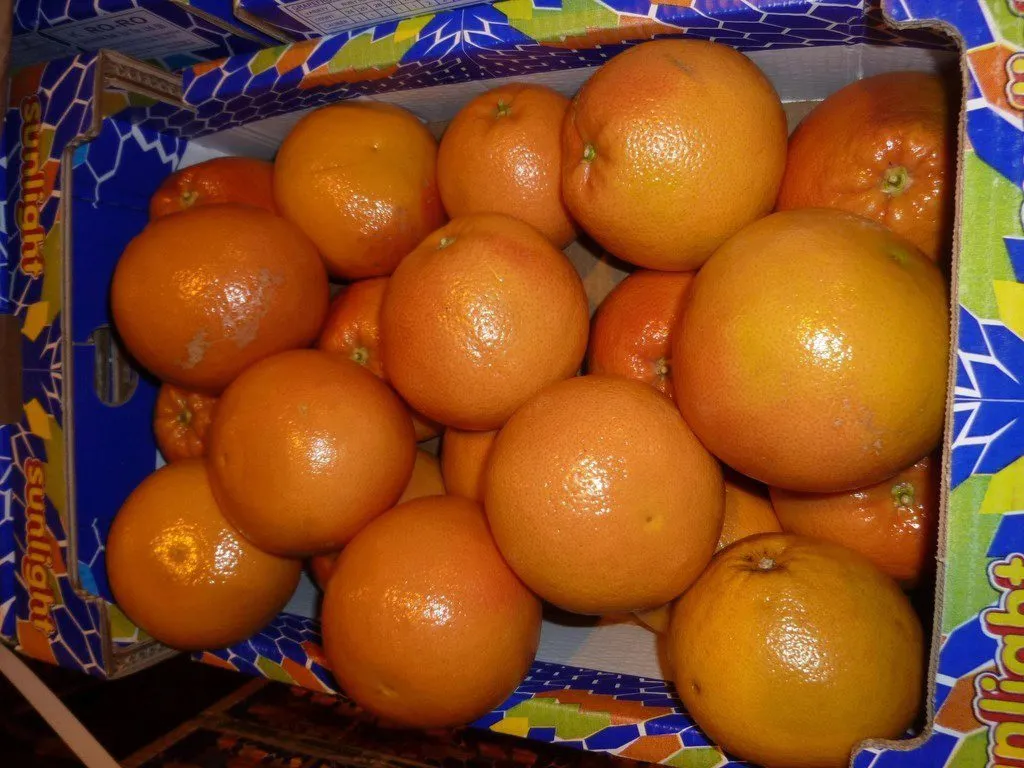 грейпфрут оптом по доступным ценам в Санкт-Петербурге