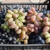 виноград оптом с доставко в Санкт-Петербурге