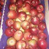  яблоки  из Сербии в Санкт-Петербурге