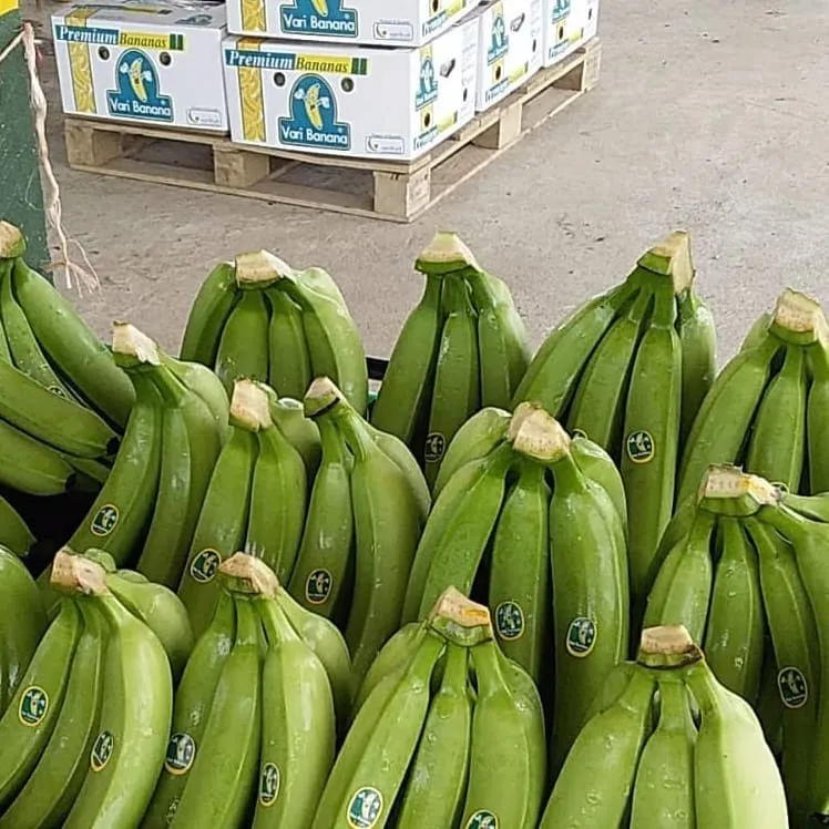бананы из Эквадора в Санкт-Петербурге 2